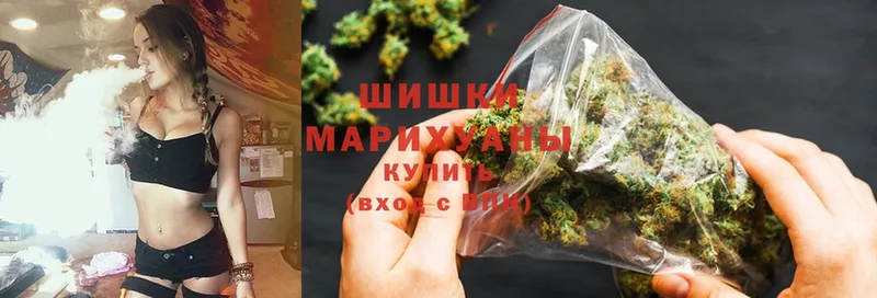 Марихуана OG Kush  Шлиссельбург 